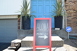 MOMENTUM - MULTI-VENDOR